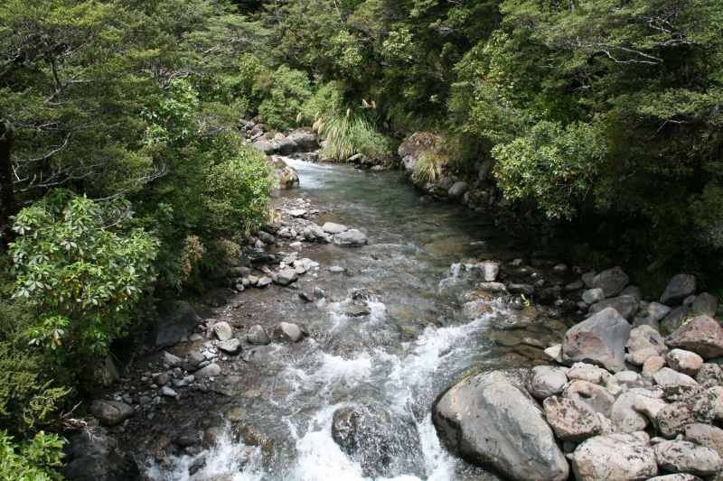 Nieuw-Zeeland 2011 - 0819